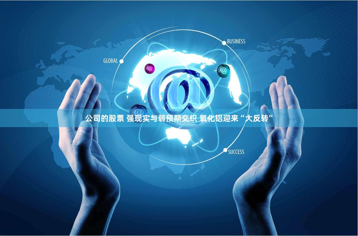 公司的股票 强现实与弱预期交织 氧化铝迎来“大反转”
