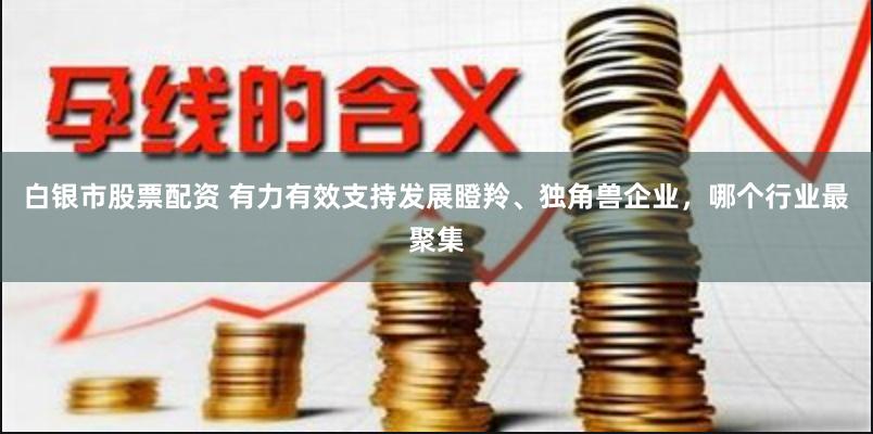 白银市股票配资 有力有效支持发展瞪羚、独角兽企业，哪个行业最聚集