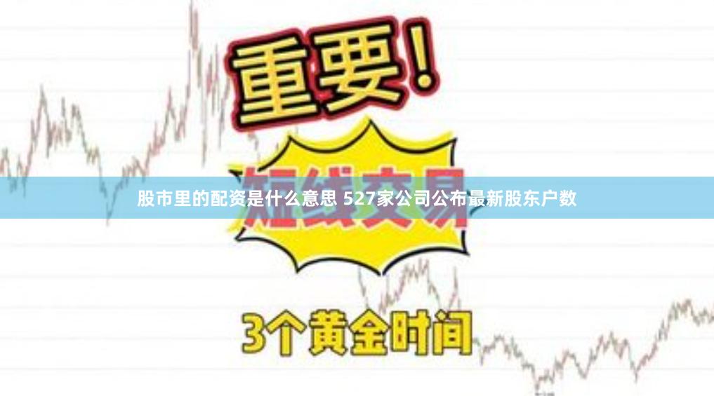 股市里的配资是什么意思 527家公司公布最新股东户数