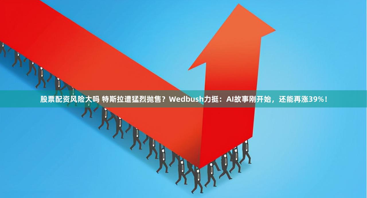 股票配资风险大吗 特斯拉遭猛烈抛售？Wedbush力挺：AI故事刚开始，还能再涨39%！