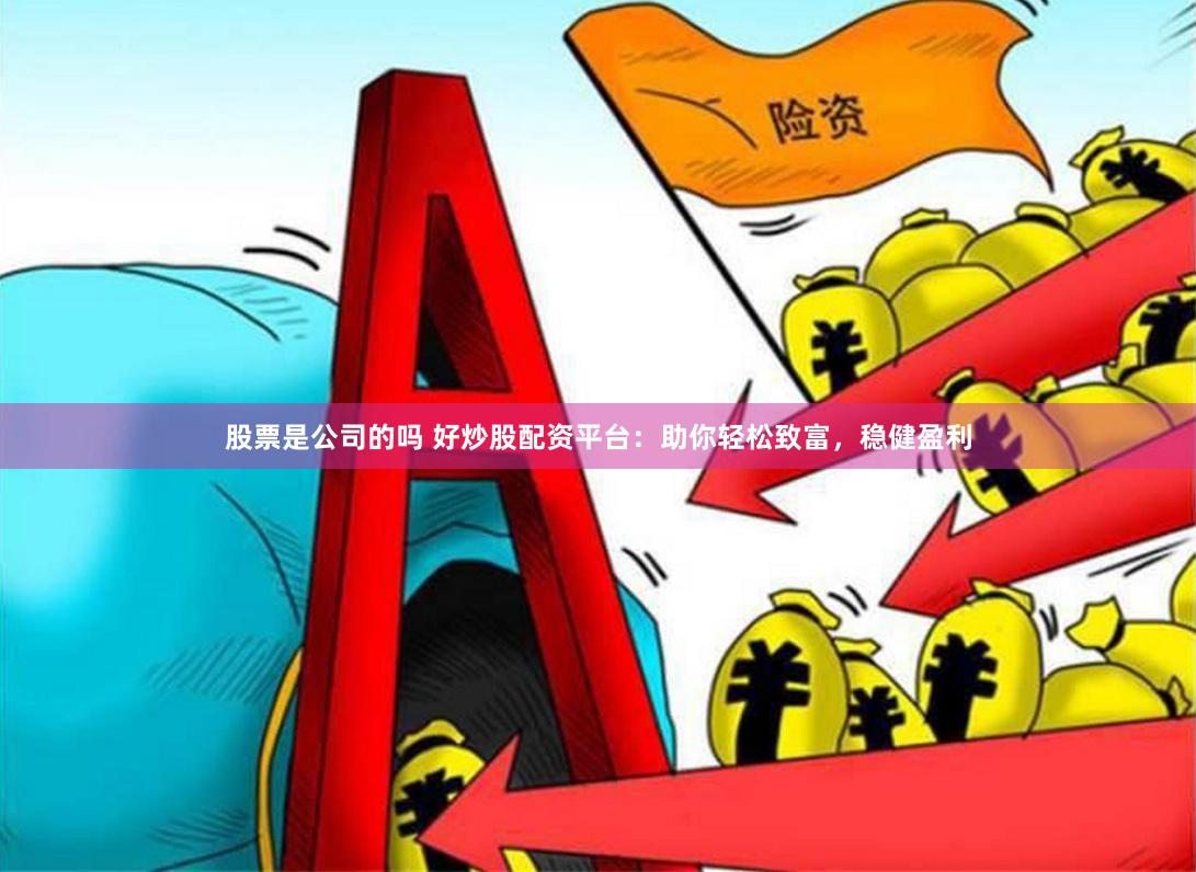 股票是公司的吗 好炒股配资平台：助你轻松致富，稳健盈利